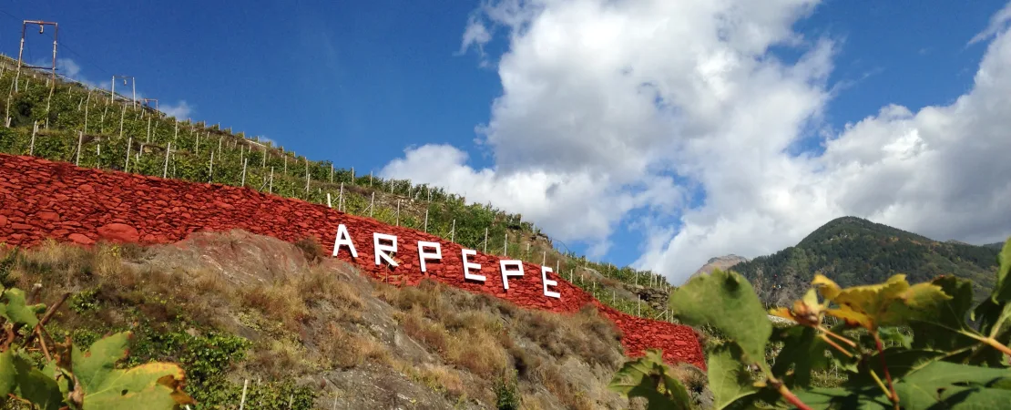ArPePe