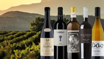 Weinpassion für Spanien und Portugal.