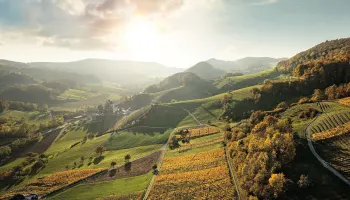 Wein-Bijoux aus der Schweiz.