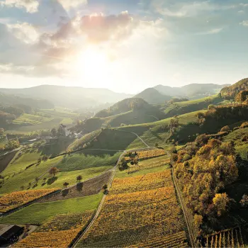 Wein-Bijoux aus der Schweiz