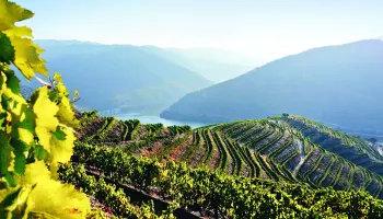 Degustation «Mediterrane Genussreise durch Portugal» in Sissach