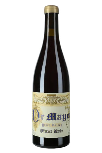 Rotwein, Dr. Mayer Pinot Noir, 2024, Timo Mayer