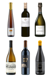 Festliche Weine zum Geniesserpreis