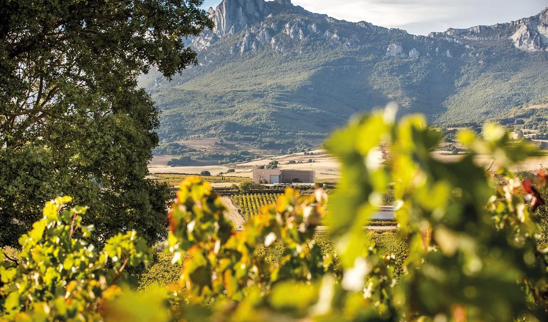 Altos de Rioja