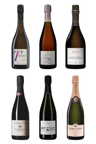 Schaumwein, 6 Rosé-Champagner für den festlichen Tisch