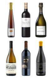 Festliche Weine zum Geniesserpreis