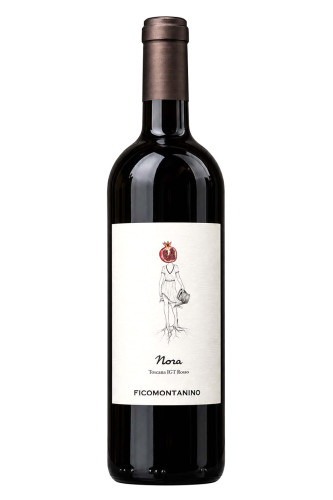 Rotwein, Nora, 2024, Ficomontanino